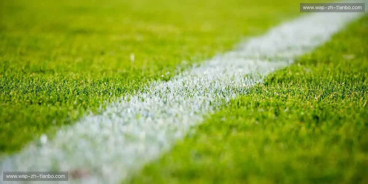 运动灵感触手可及，周边好物等你发现！🎁